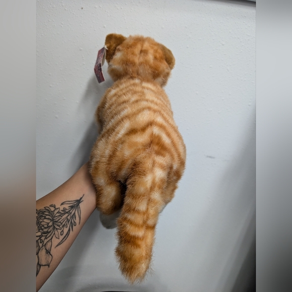 Beautiful orange tabby cat, tags attached but aged. - Picture 6 of 6